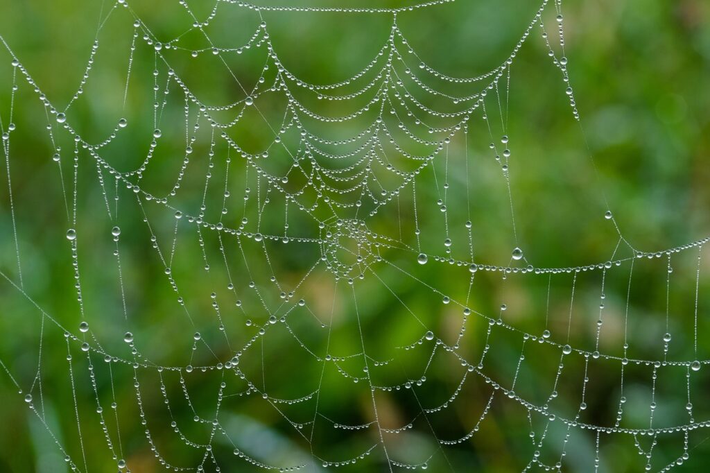 韓国発の美容液を重ね付けする際、ニキビにはどれから使うべき？