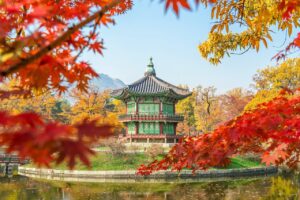 韓国ドラッグストアのトナーパッドを毎日使うとどうなる？