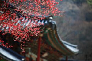 韓国旅行でニキビ肌向けのスキンケア、何を買うべき？